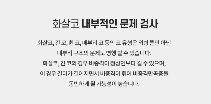 화살코 내부적인 문제검사