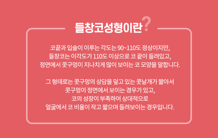 들창코성형이란